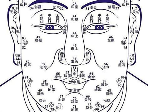 方面面相|面相学